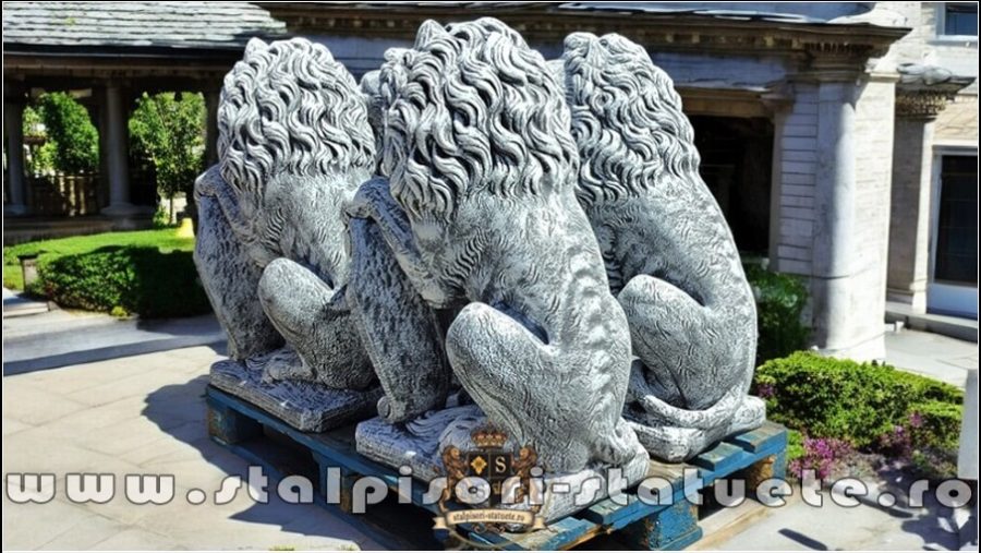 coperta youtube S1 gri