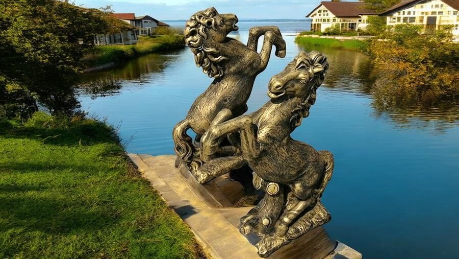 coperta youtube S37 auriu mediu