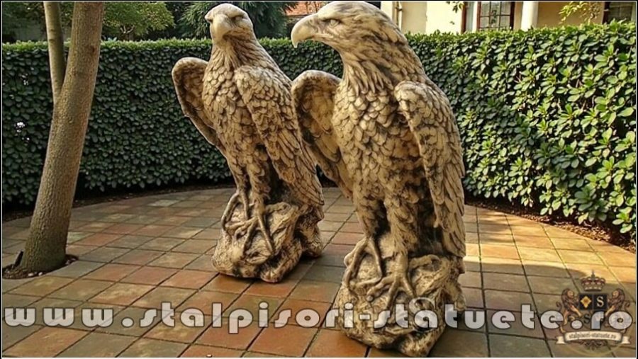 Set 2 vulturi, acvile, șoimi, uliu, auriu antichizat, model S82 (3)