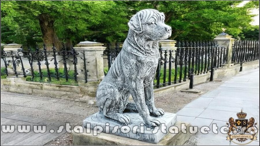 Statuetă câine rottweiler, gri patinat, model S12. (3)