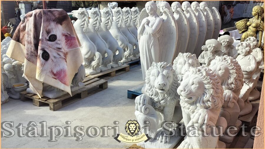 coperta youtube S20 alb